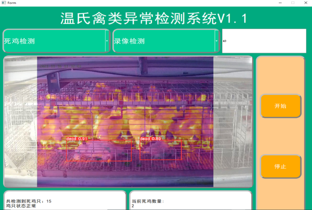 笼养鸡健康监测系统
